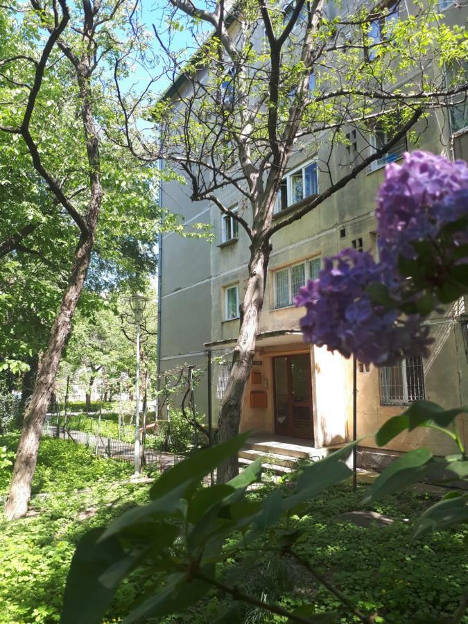 Central Place Apartment Timisoara Timişoara Exterior foto