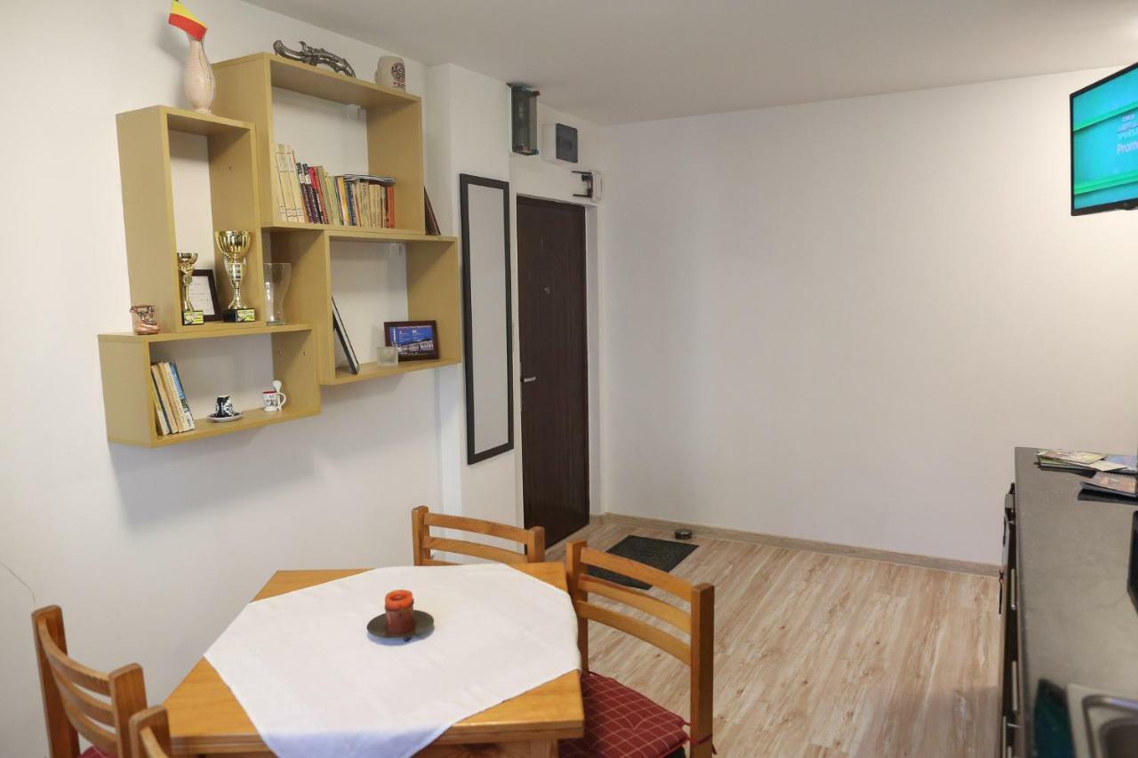 Central Place Apartment Timisoara Timişoara Exterior foto